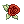 Costume Lush Rose