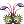 Costume Drosera Hairpin