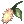 Foxtail