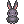 Costume Black Rabbit