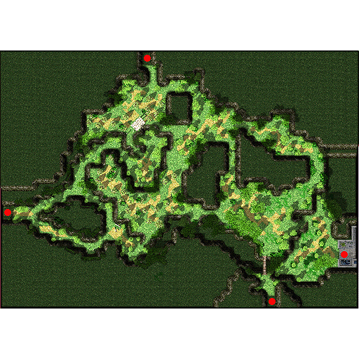 Payon Forest (pay_fild03)