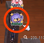 Menu Settings